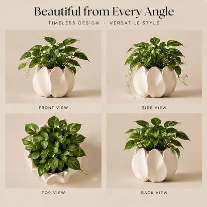 Lotus Petal Ceramic Planter | SIVAWNELL